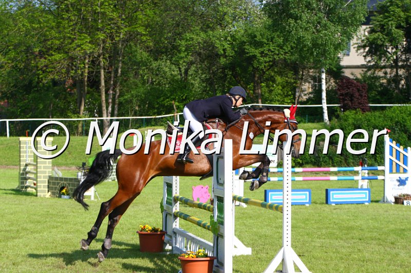 005M3985_Geraldine_Springpferde A.JPG